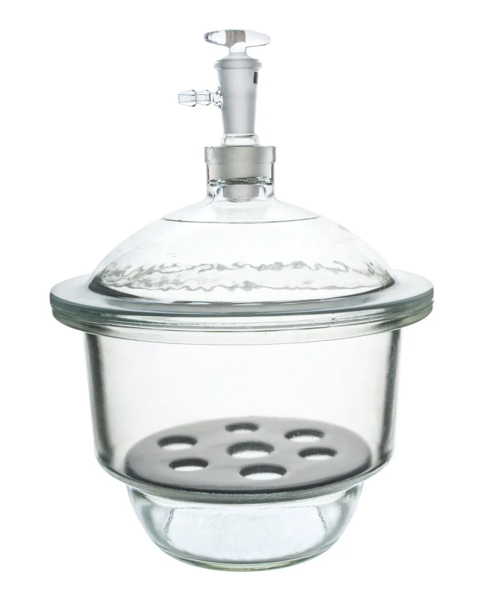 Desecador de vidrio con plato de porcelana y válvula de vacío, 240mm de diámetro interno